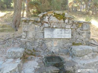 Siete Picos [Serie clásica]: La Sierra del Dragón;hayedo montejo monte hijedo refugio de la renclusa